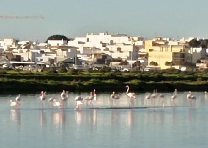 Vendégház Casa Do Livramento Luz de Tavira