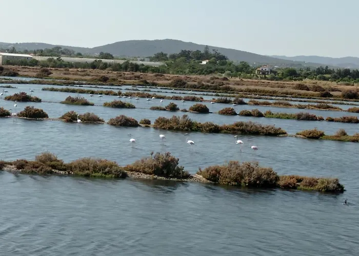 Gæstehus Casa Do Livramento 4*