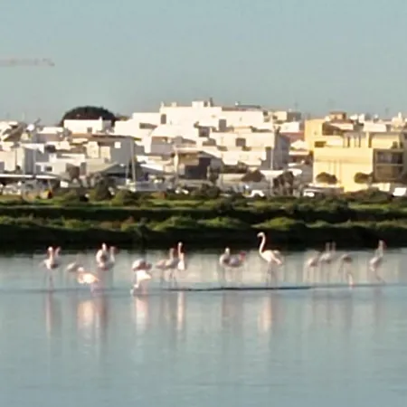 Gasthuis Casa Do Livramento Luz de Tavira